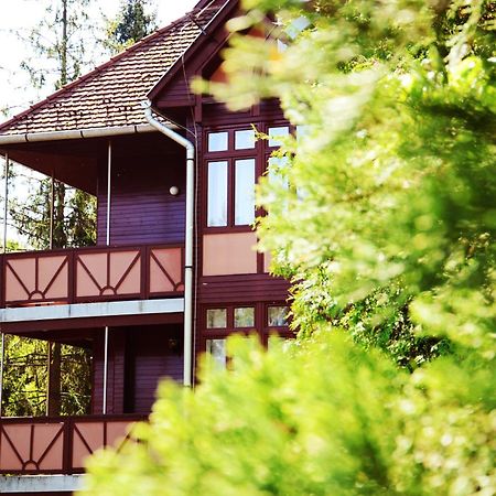 Ezuestfenyo Hotel Telkibánya Buitenkant foto