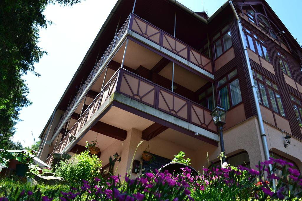 Ezuestfenyo Hotel Telkibánya Buitenkant foto